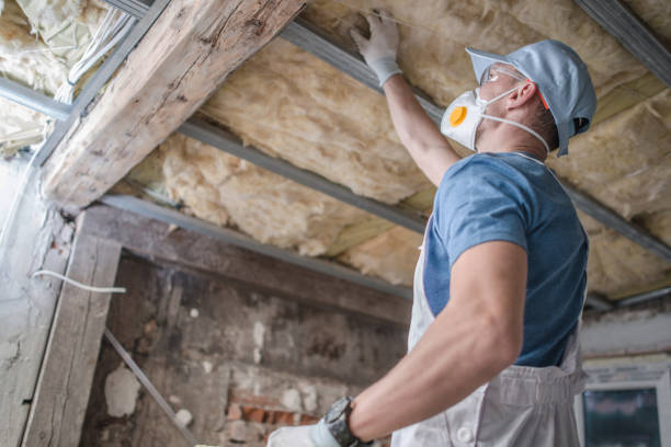 Best Attic Insulation Installation  in Amarillo, TX