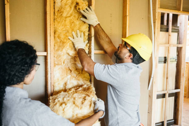 Best Insulation Repair Services  in Amarillo, TX