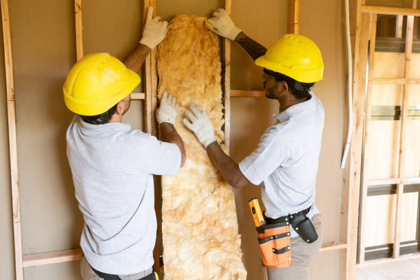 Best Insulation for New Construction  in Amarillo, TX